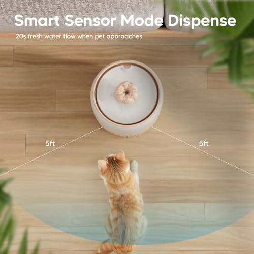Wireless Cat Water Fountain