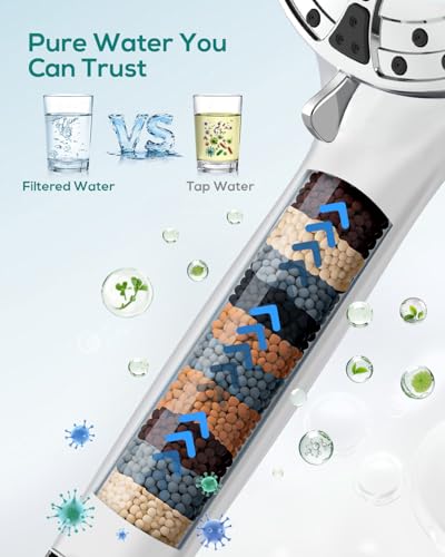 Filtered Shower Head with Handheld