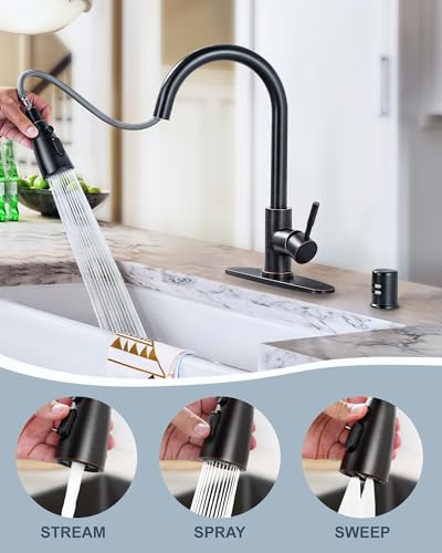 Kitchen Faucet with Air Gap