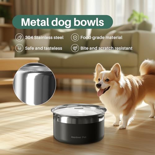 Slow Water Bowl for Dogs