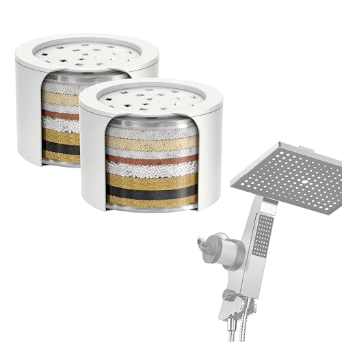 Shower Head Filter Replacement (2 Count)