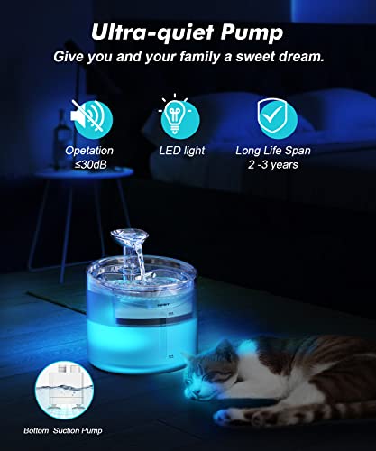 WF100 Cat Foutain (54 Fl Oz)