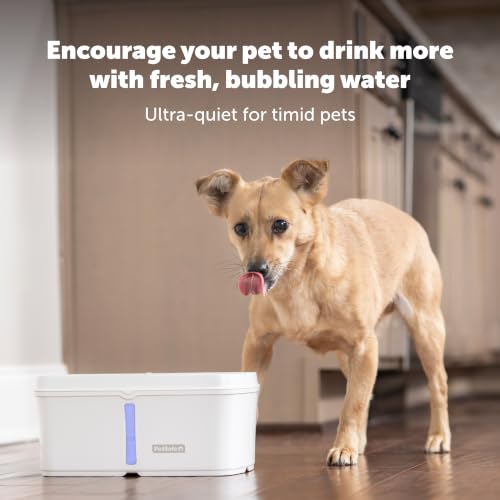 Viva Pet Fountain