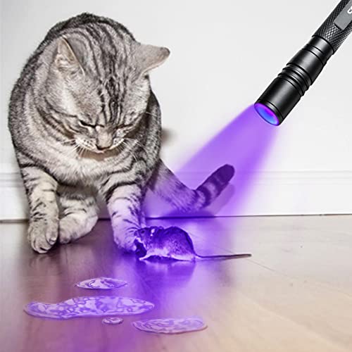 UV Flashlight 395nm Zoomable Black Light Lamp Ultraviolet Lights