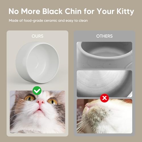 Wireless Cat Water Fountain