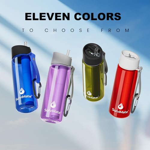 Replacement Filter for Filtered Water Bottle with 5