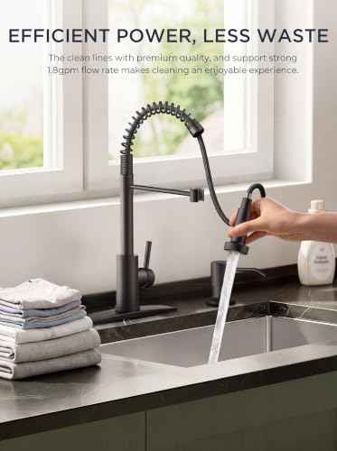 Black Kitchen Sink Faucet