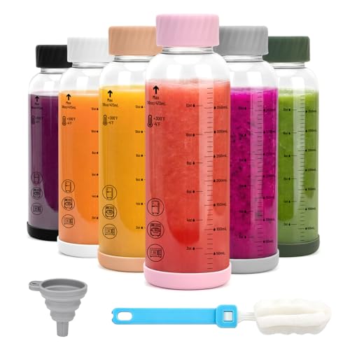 Borosilicate Glass Water Bottles with Stainless Steel Lid 16 oz (6 Count)