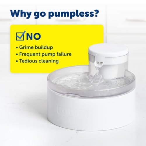 Outlast Pumpless Cat Water Fountain