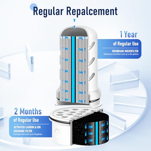 Water Filter Replacement for LS Home Dispenser 18 C