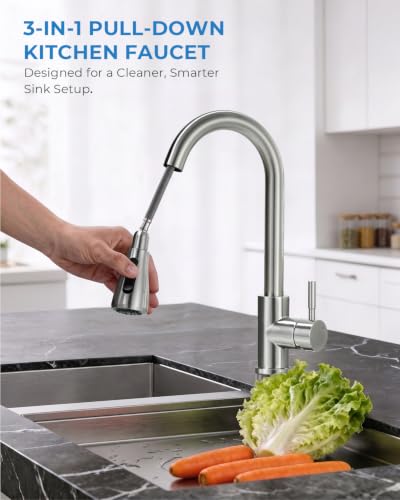 Kitchen Faucet with Pull Down Sprayer