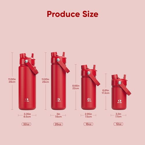Insulated Water Bottle with Straw Stainless Steel Water Bottle