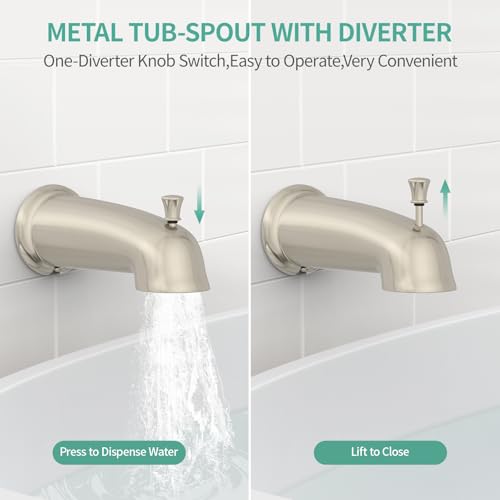 Dual 2 in 1 Shower System with Tub Spout (123.2 Ounce)