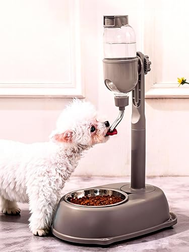 Pet Water Dispenser