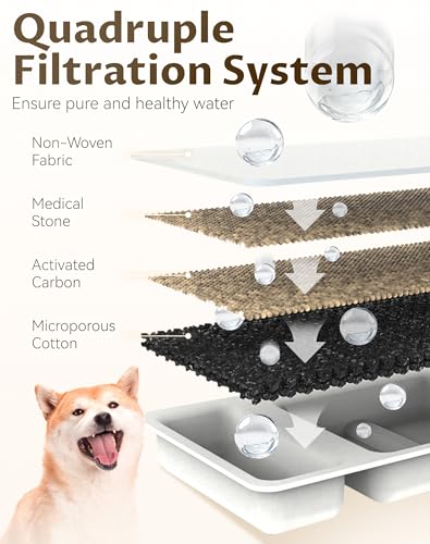 Dog Bowl for Small Dogs