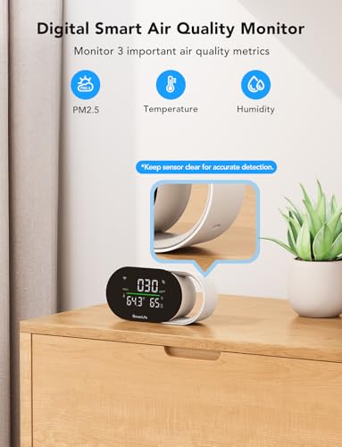 Smart Air Quality Monitor with PM2.5 H5106