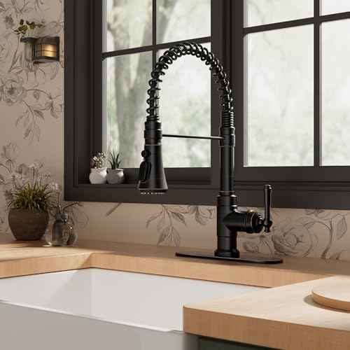Vintage Kitchen Faucet with Pull Down Sprayer