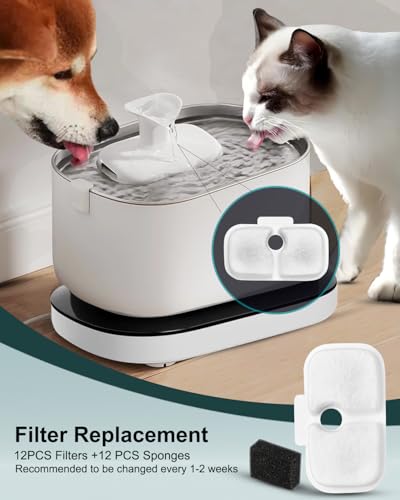 Cat Water Fountain Filter Replacements