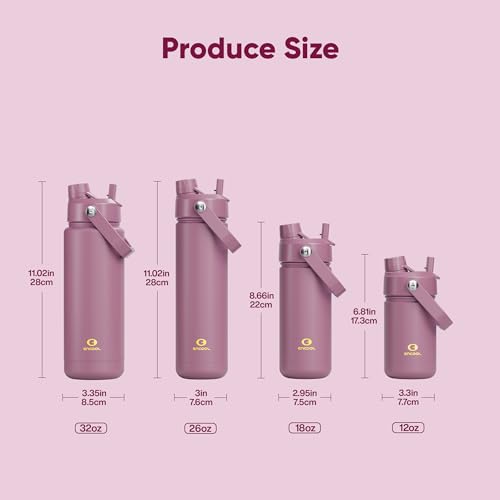 Insulated Water Bottle with Straw Stainless Steel Water Bottle