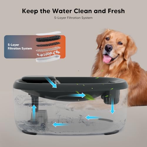 Dog Water Fountain for Large Dogs