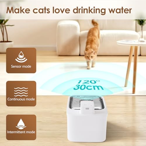 Cat Water Fountain with Stainless Steel Tray (11 Count)