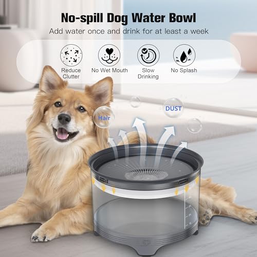 5.5L No Spill Dog Water Bowl