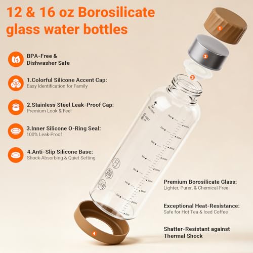 16 oz Glass Juice Bottles 4 Pack