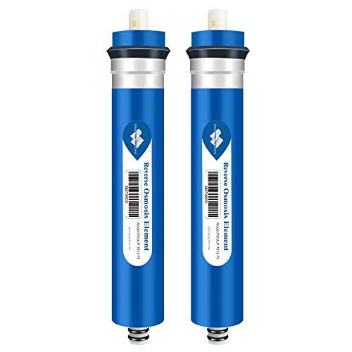 75 GPD Reverse Osmosis Membrane (2 Count)