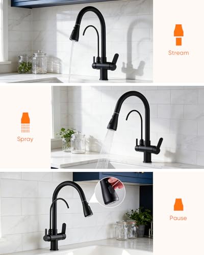 Kitchen Faucet with Water Filter Spout