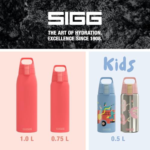 Insulated Water Bottle