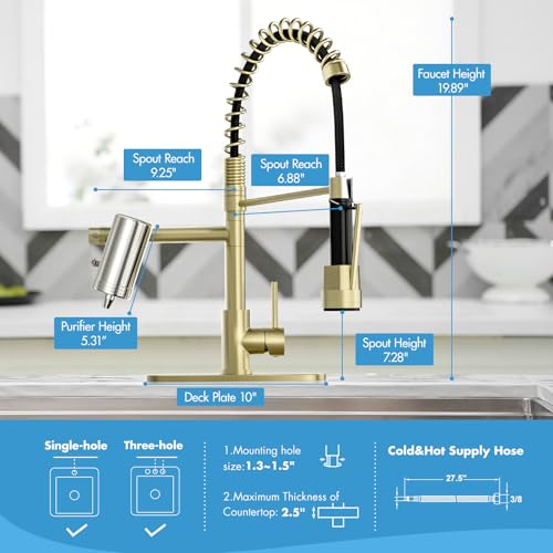 Gold Kitchen Faucet with Water Filter