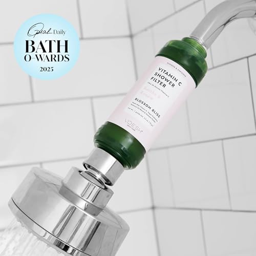 Vitamin C Shower Filter (2 Count)