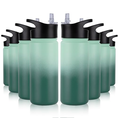 16 oz Insulated Water Bottle Bulk 8 Pack (8 Count)