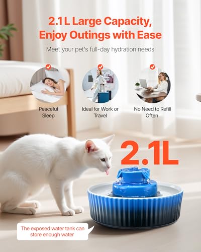 Ceramic Cat Water Fountain