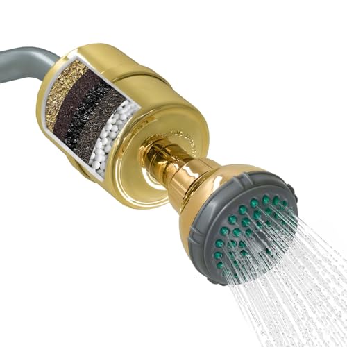 Shower Filter with Head