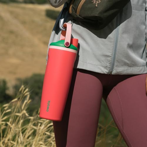 FreeSip Sway Stainless Steel Water Bottle 30 oz Strawberry Fields