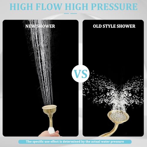 Vintage Handheld Shower Head with 59" Flexible Hose