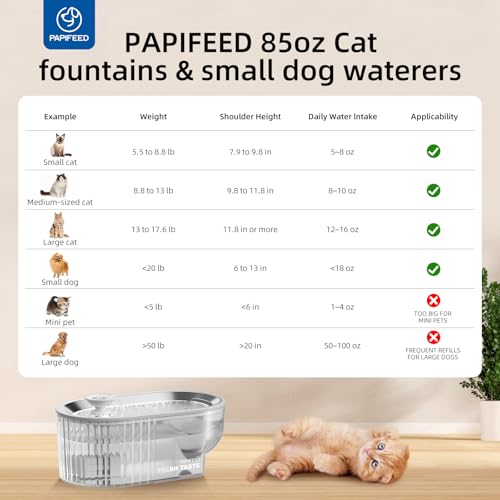 Cat Water Fountain Stainless Steel with a Silicone Mat