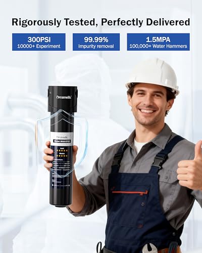 DS10 Under Sink Water Filter System
