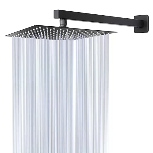 Shower Head with Extension Arm