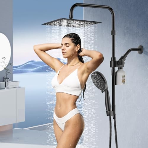 10" Filtered Rain Shower Head with Handheld Spray Combo
