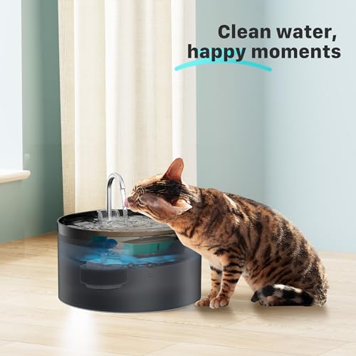 Cat Water Fountain Filters