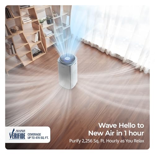 HEPA Air Purifier for Home
