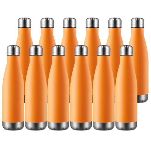 17oz Sport Water Bottle 12 Pack Vacuum Insulated Stainless Steel Leak
