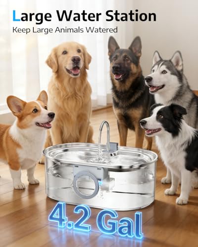 4.2Gal Dog Water Fountain for Large Dogs