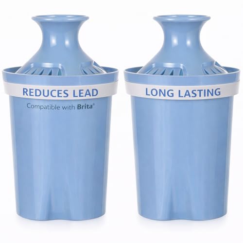 Long Lasting Water Filters Compatible Brita Filter Replacement Reduces Lead (2 Count)