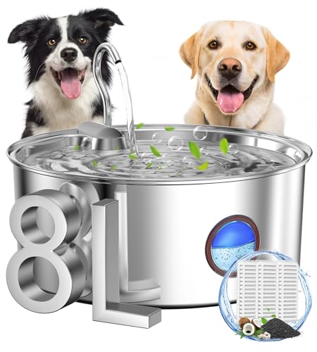 Dog Water Fountain for Large Dogs