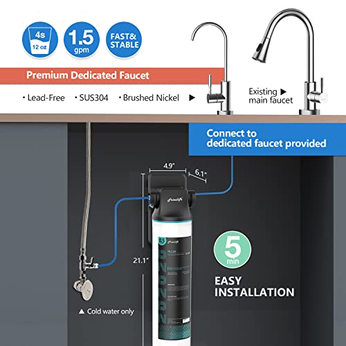 SW20F Under Sink Water Filter System with Brushed Nickel Faucet