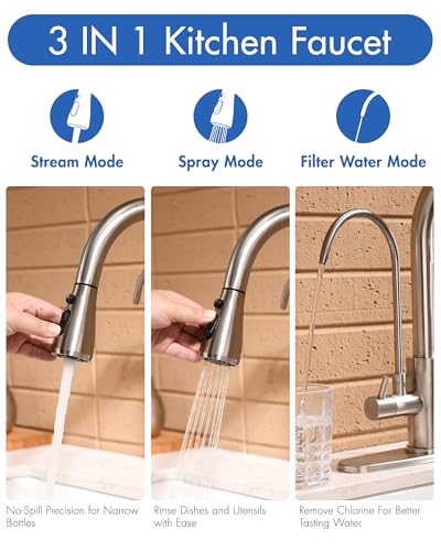 3 in 1 Kitchen Faucet with Pull Down Sprayer and Water Filter