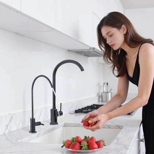 Water Filter Faucet